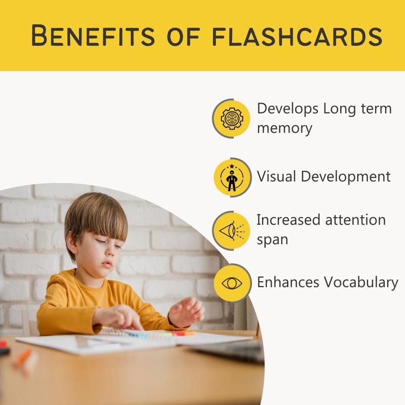 Pack of 24 Birds Flash Cards (2-5 Years)