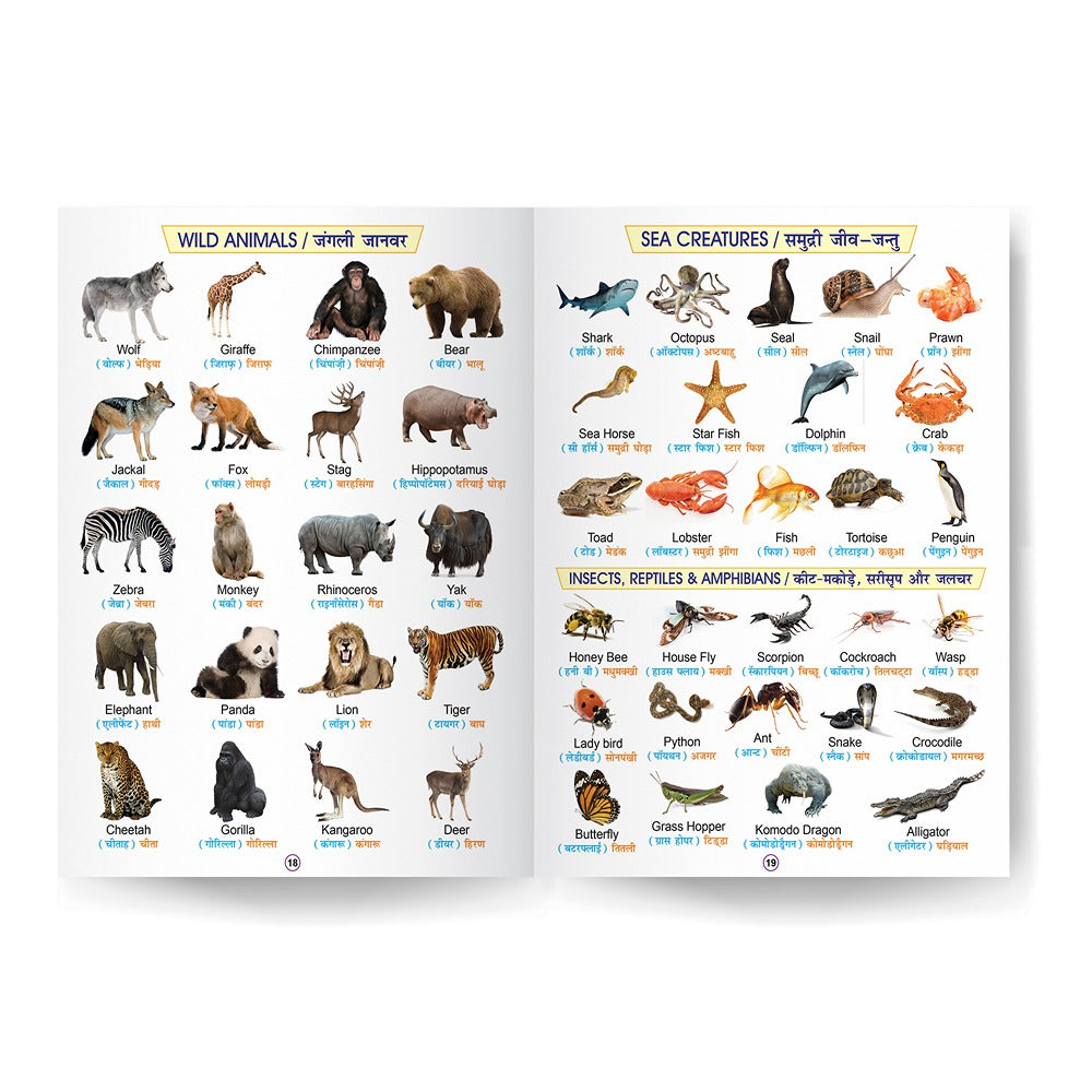 Hard Laminated Book for Kids - My Big Laminated Book All In One