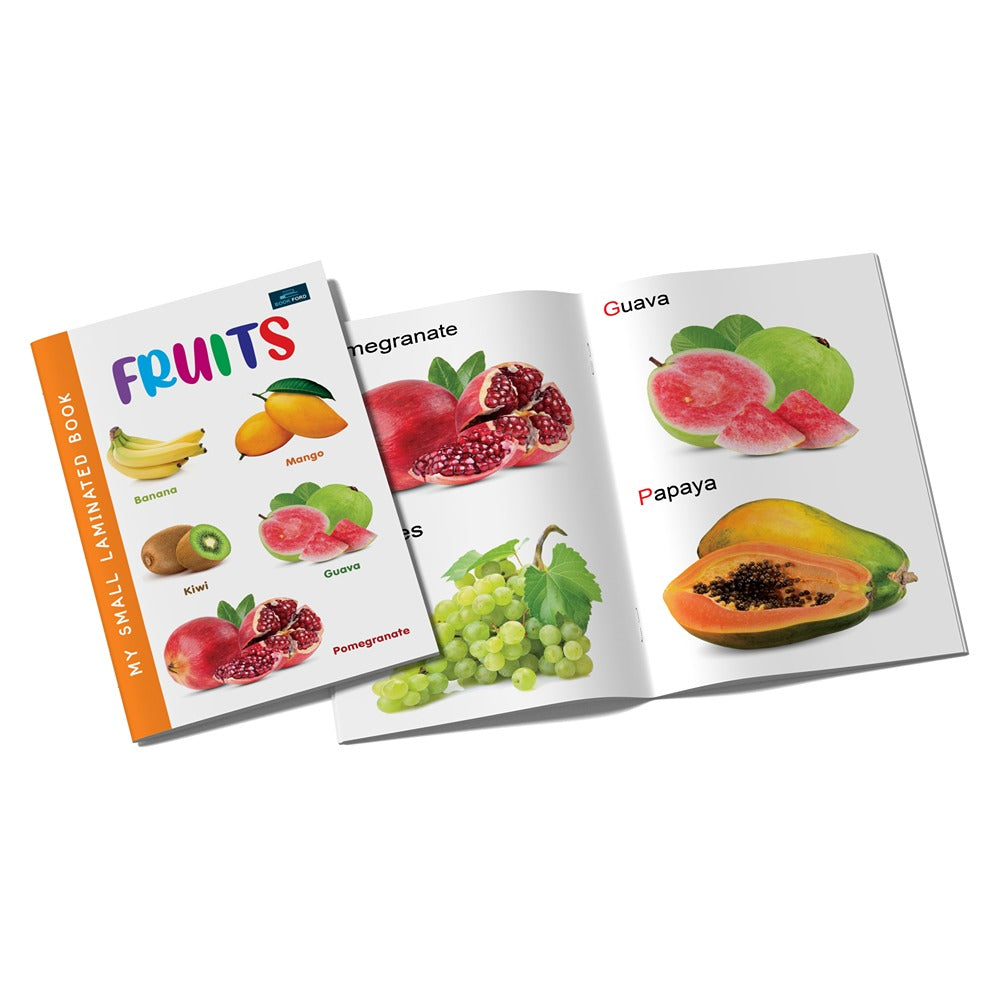 My Small Laminated Books - Set of 3 Books - Fruits , Vegetables, Wild Animals and Domestic Animals For Kids