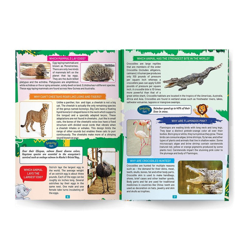 Young Minds Encyclopedia - Set of 2 Books - Animals and Space Encyclopedia For Kids