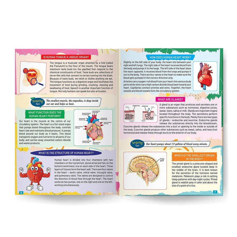 Young Minds Encyclopedia - Set of 2 Books - General Knowledge and Human Body Encyclopedia For Kids