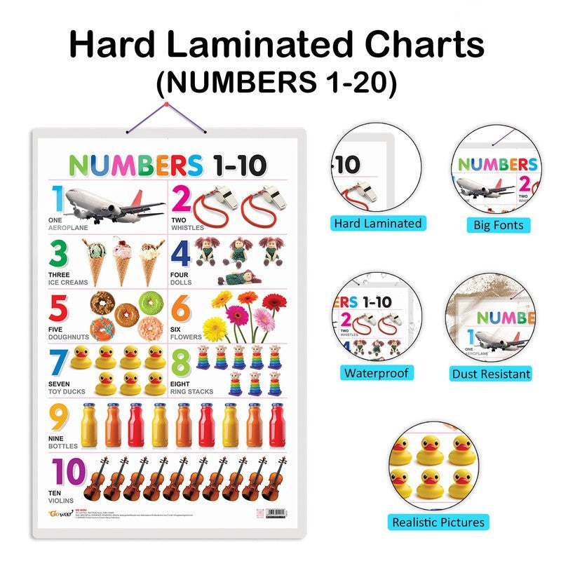 Set of 4 Domestic Animals and Pets, Wild Animals, Birds and Numbers 1-10 Early Learning Educational Charts