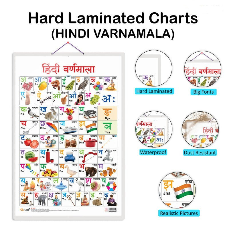 Set of 4 Vegetables, Domestic Animals and Pets, Wild Animals and Hindi Varnamala Early Learning Educational Charts