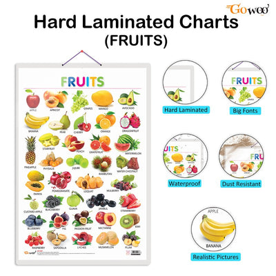 Alphabet, Fruits and Domestic animals and pets early learning educational charts (Pack of 3)