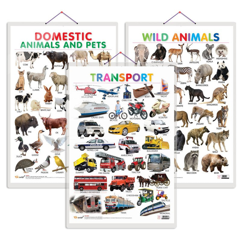 Domestic Animals and Pets, Wild Animals and Transport Early Learning Educational Charts - Set of 3