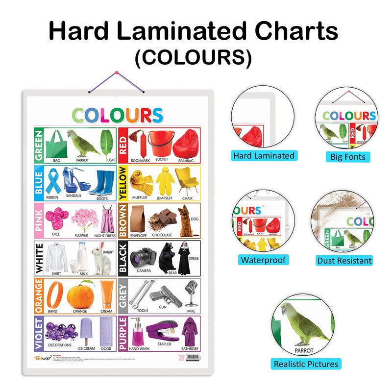 Wild Animals, Birds and Colours Early Learning Educational Charts - Set of 3