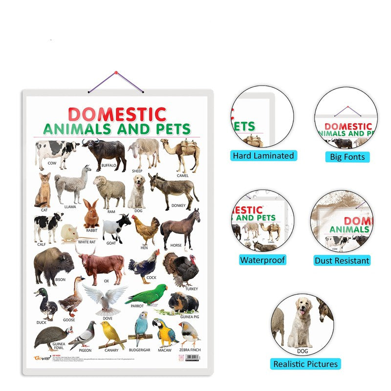 Set of 4 Domestic Animals and Pets, Wild Animals, Birds and Transport Early Learning Educational Charts