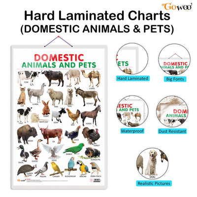 Alphabet, Fruits and Domestic animals and pets early learning educational charts (Pack of 3)