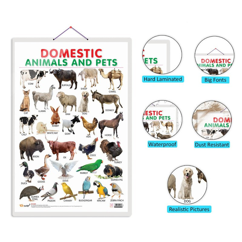 Set of 4 Domestic Animals and Pets, Wild Animals, Birds and Shapes Early Learning Educational Charts