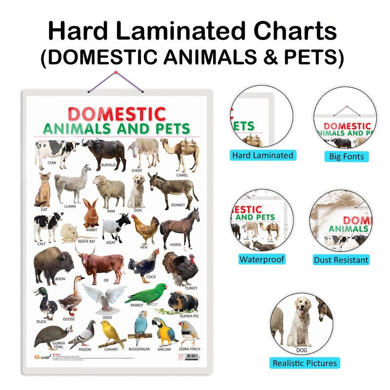 Set of 4 Domestic Animals and Pets, Wild Animals, Birds and Action Words Early Learning Educational Charts