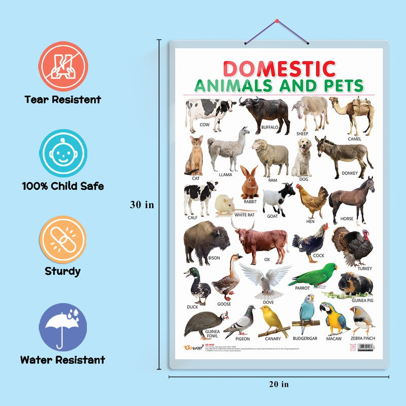 Set of 4 Domestic Animals and Pets, Wild Animals, Birds and Parts of the Body Early Learning Educational Charts