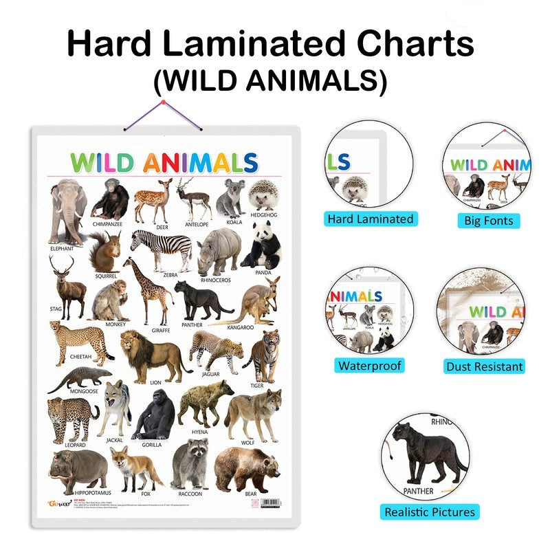Set of 4 Domestic Animals and Pets, Wild Animals, Birds and Numbers 1-100 Early Learning Educational Charts