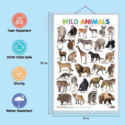 Set of 4 Wild Animals, Birds, Flowers and Shapes Early Learning Educational Charts