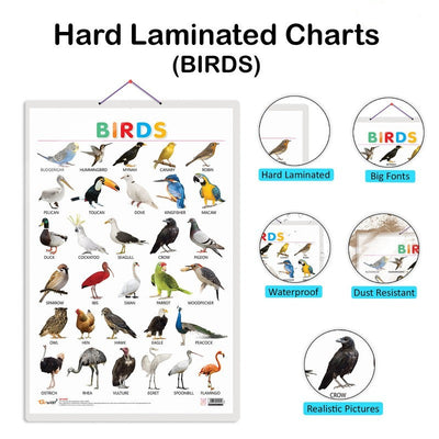 Set of 4 Domestic Animals and Pets, Wild Animals, Birds and Numbers 1-100 Early Learning Educational Charts