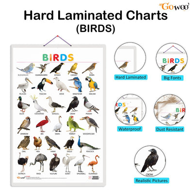Set of 4 Domestic Animals and Pets, Wild Animals, Birds and Parts of the Body Early Learning Educational Charts