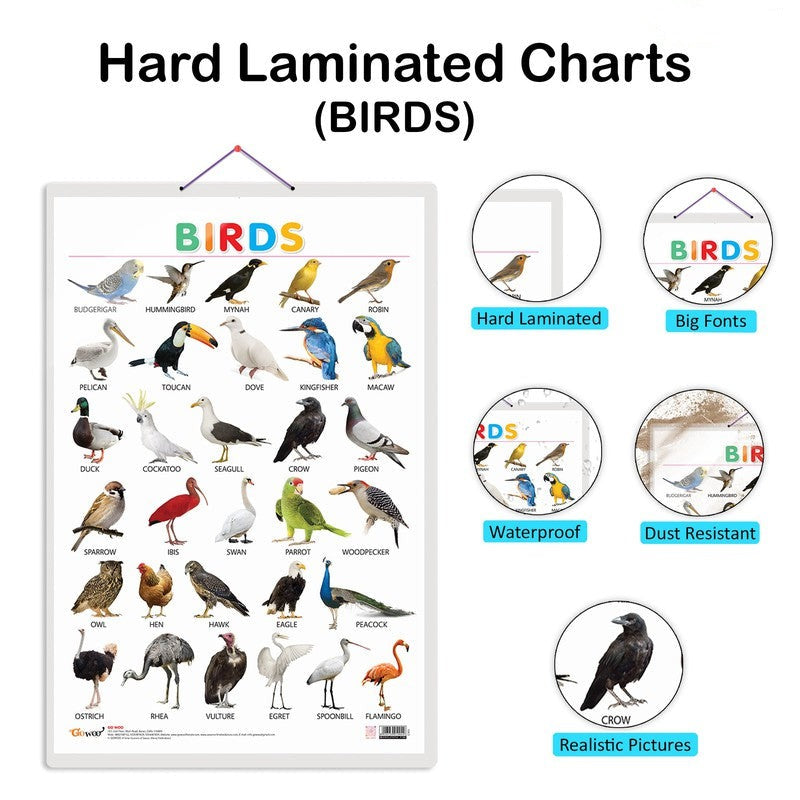 Set of 4 Domestic Animals and Pets, Wild Animals, Birds and Flowers Early Learning Educational Charts