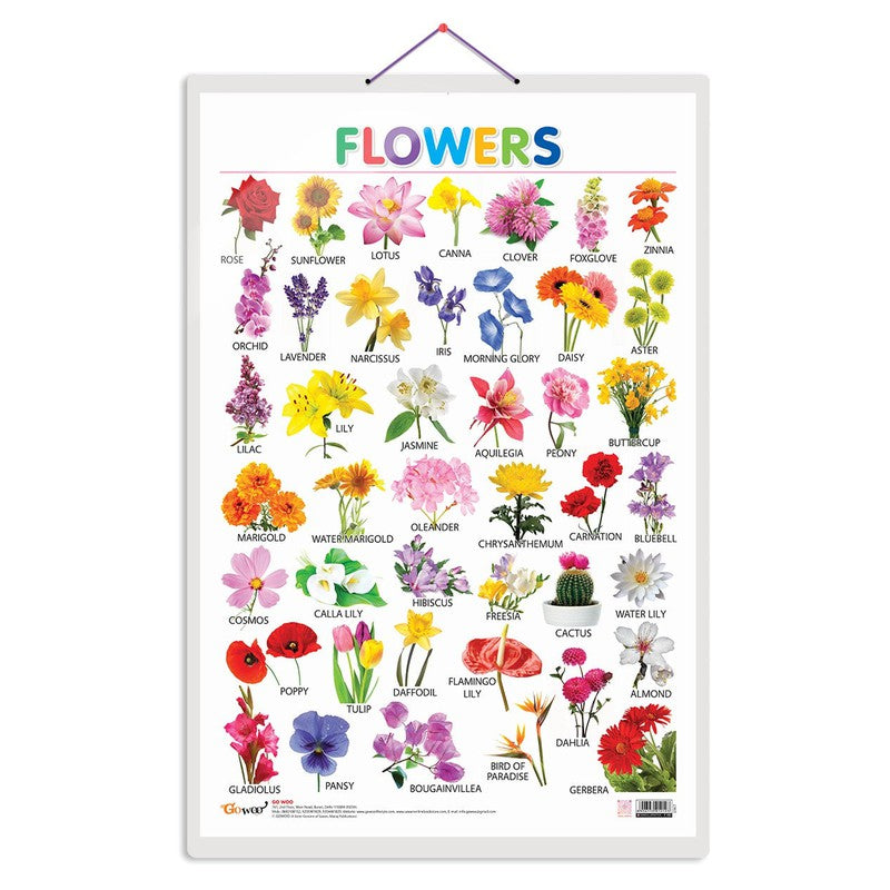 Flowers Chart For Kids
