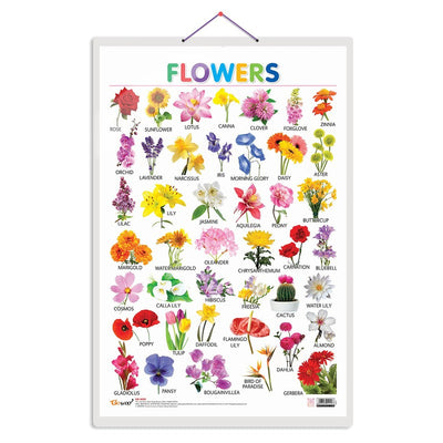 Flowers Chart For Kids