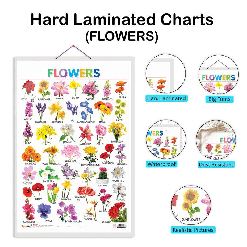 Set of 4 Domestic Animals and Pets, Wild Animals, Birds and Flowers Early Learning Educational Charts