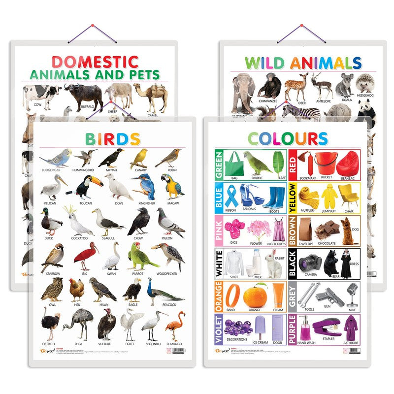 Set of 4 Domestic Animals and Pets, Wild Animals, Birds and Colours Early Learning Educational Charts