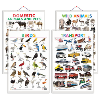 Set of 4 Domestic Animals and Pets, Wild Animals, Birds and Transport Early Learning Educational Charts