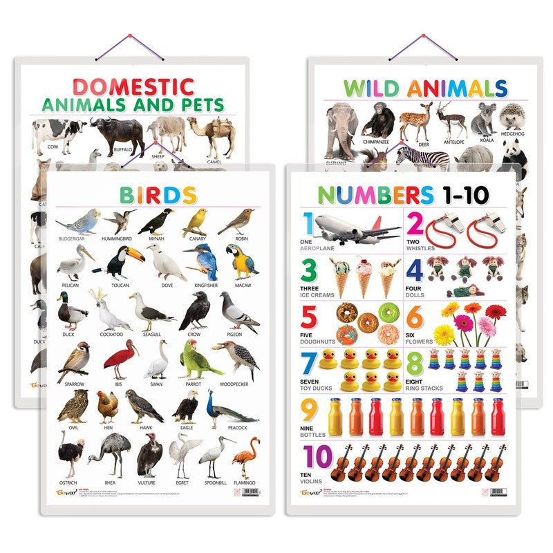 Set of 4 Domestic Animals and Pets, Wild Animals, Birds and Numbers 1-10 Early Learning Educational Charts