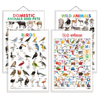 Set of 4 Domestic Animals and Pets, Wild Animals, Birds and Hindi Varnamala Early Learning Educational Charts