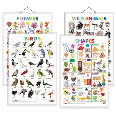 Set of 4 Wild Animals, Birds, Flowers and Shapes Early Learning Educational Charts