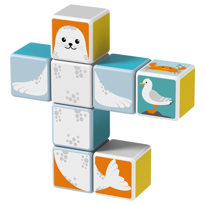 Magicube - Polar Animals Matching & Building Game