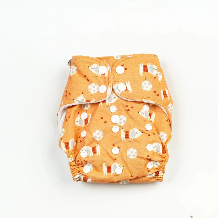 Beelittle Cloth Diapers for Newborn (Weight Upto 6 kgs)