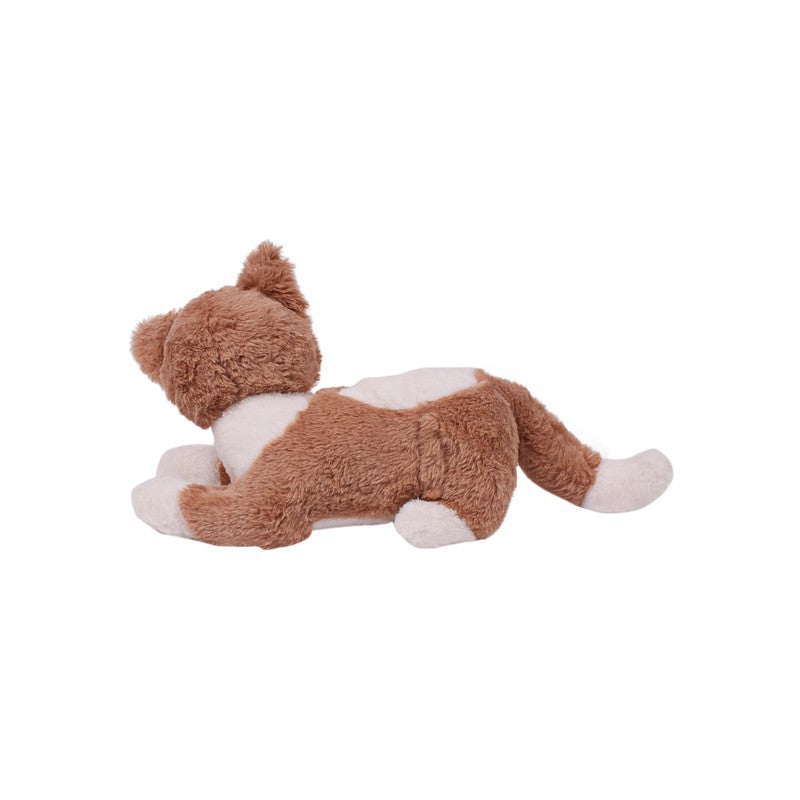 Kids Brown Cute & Adorable Cat Plush Soft