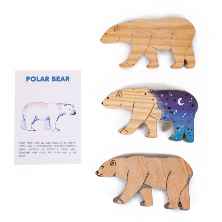 Artic Animals (Drawing and Craft Kit) - Set of 5