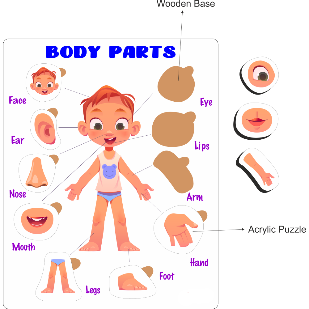 Educational Puzzle - Body Parts