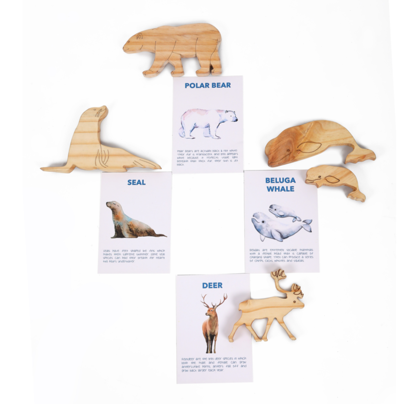 Artic Animals (Drawing and Craft Kit) - Set of 5