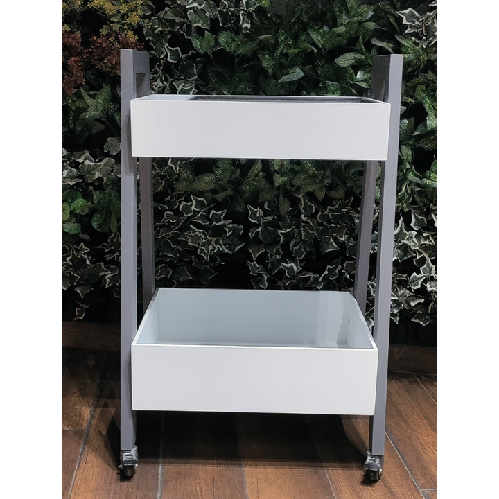 Art Wagon Shelf with Organizer