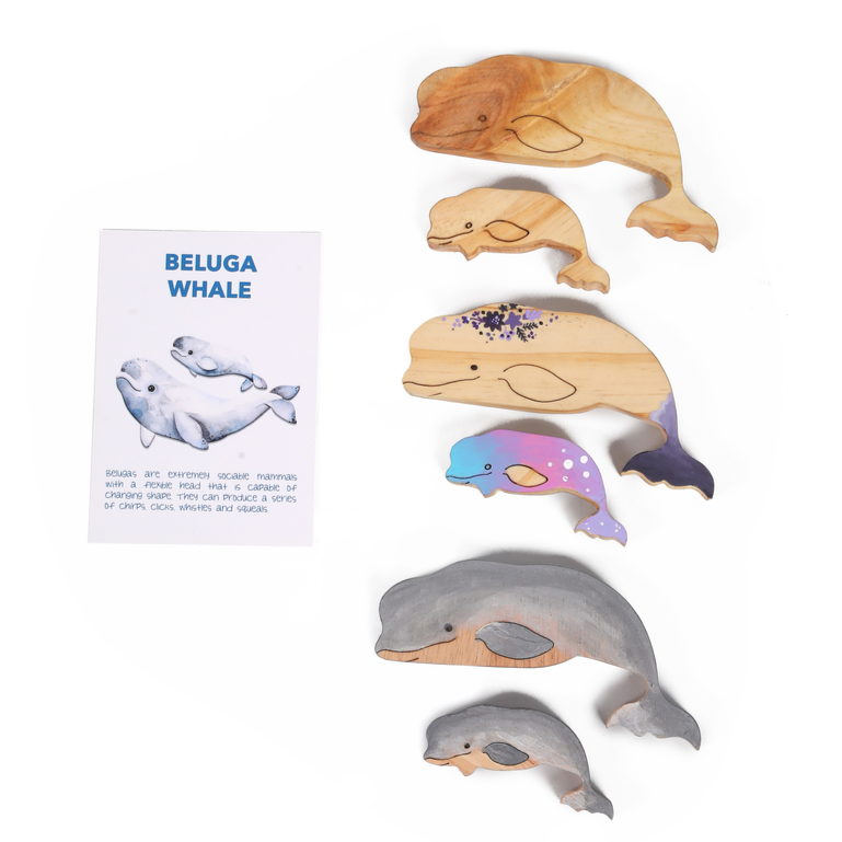 Artic Animals (Drawing and Craft Kit) - Set of 5