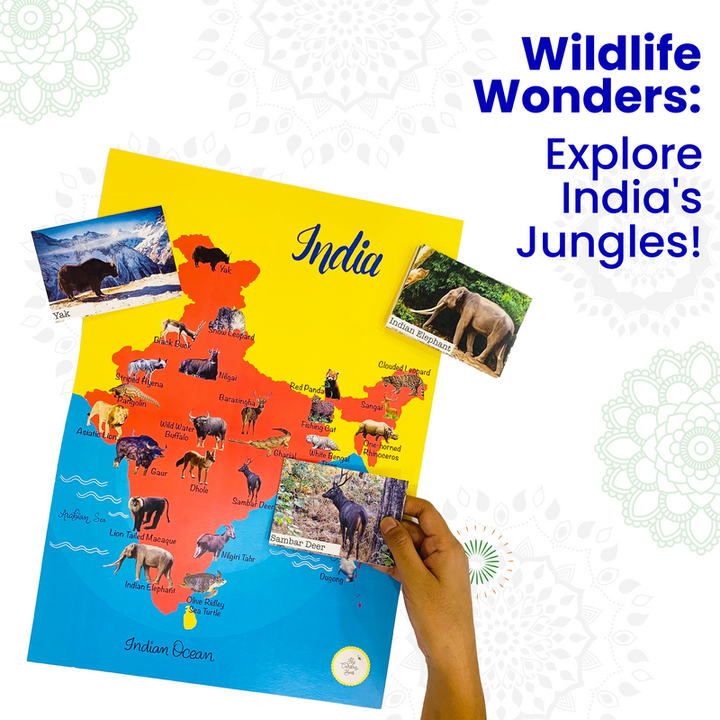 Incredible India Theme Activity Box