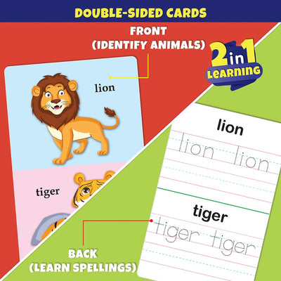 Animals Write & Wipe Jumbo Flash Cards with Marker Pen