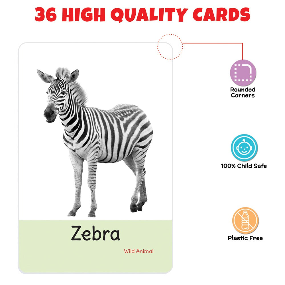 My First Animals Flash Cards (36 cards)