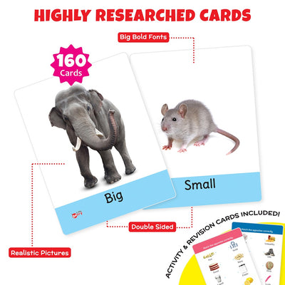 Big Flashcards ABC, Number, Transport, Opposite, Sight Word (Set of 5) | 160 Cards