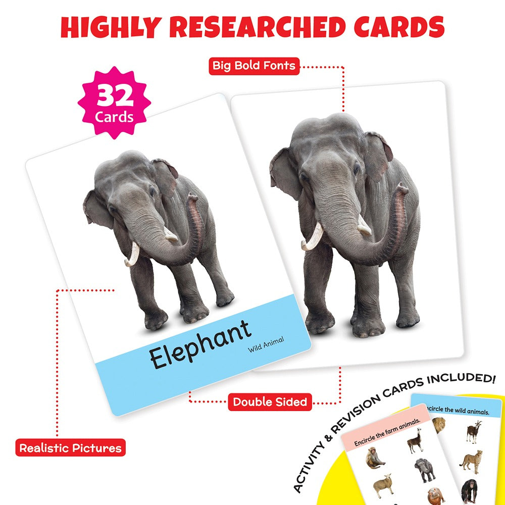 Learning and Educational Animals Flash Cards (32 Cards)