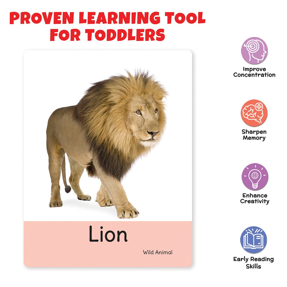 Learning and Educational Animals Flash Cards (32 Cards)