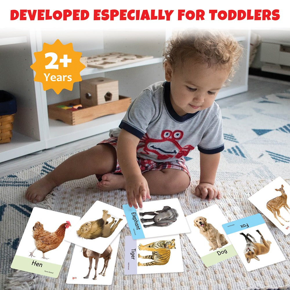 Learning and Educational Animals Flash Cards (32 Cards)