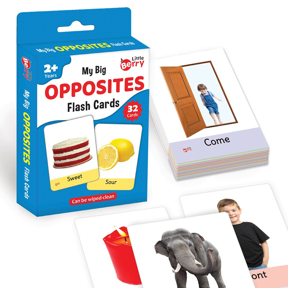 Learning and Educational Opposites Flash Cards  (32 Cards)