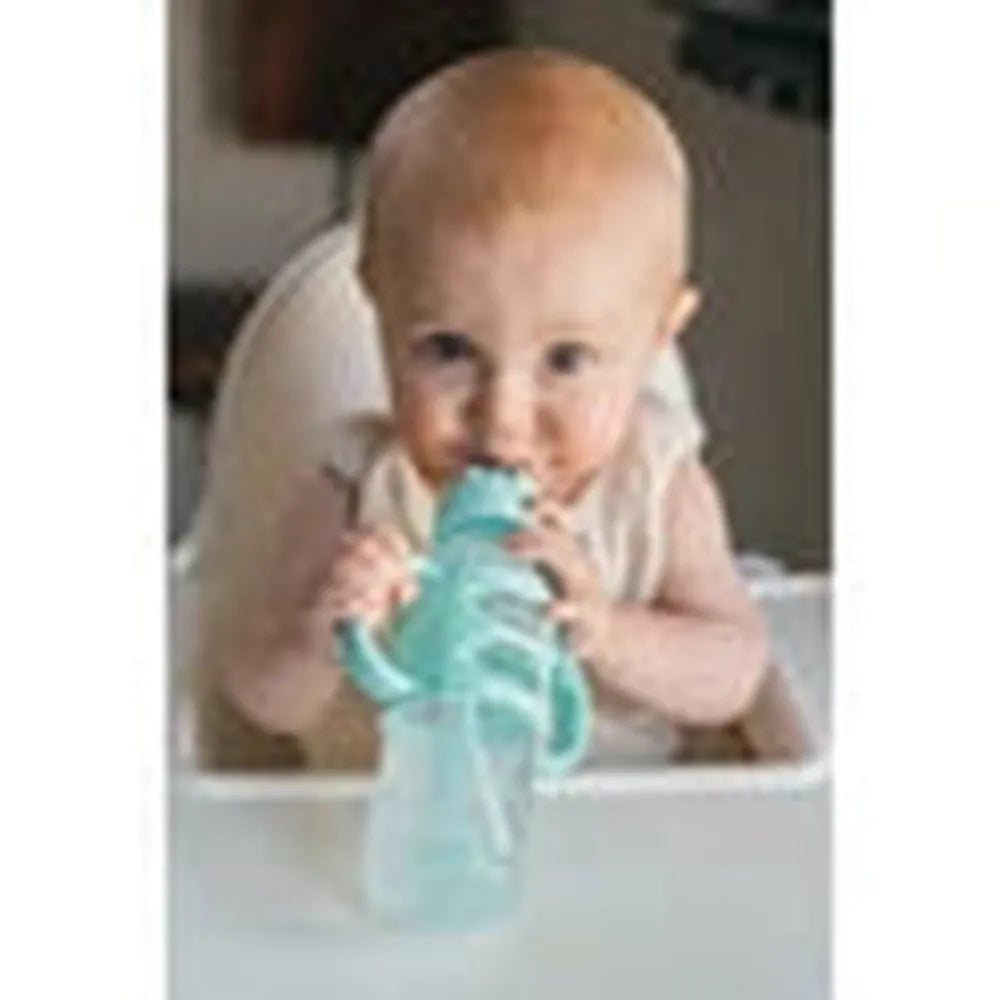 Dr. Browns Milestones Narrow Sippy Straw Bottle | 250ml