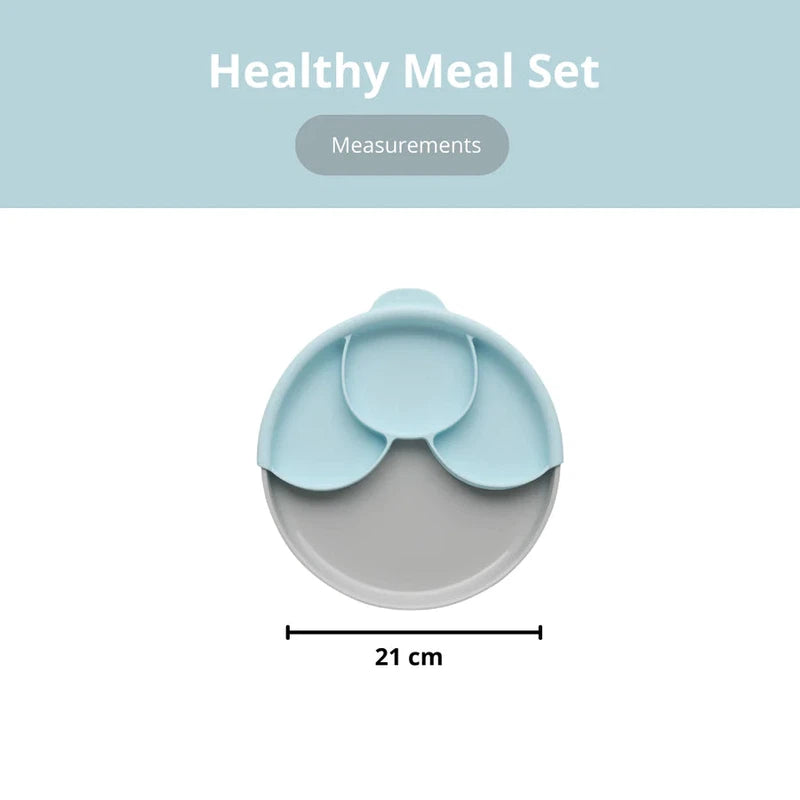 Healthy Meal Suction Grey Plate with Divider Set