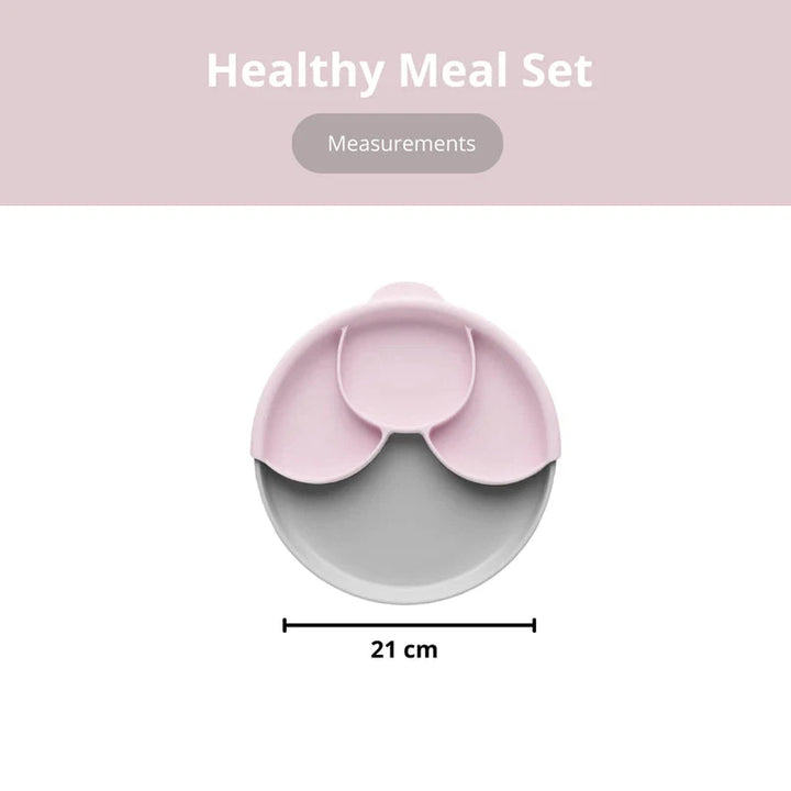 Healthy Meal Suction Grey Plate with Divider Set