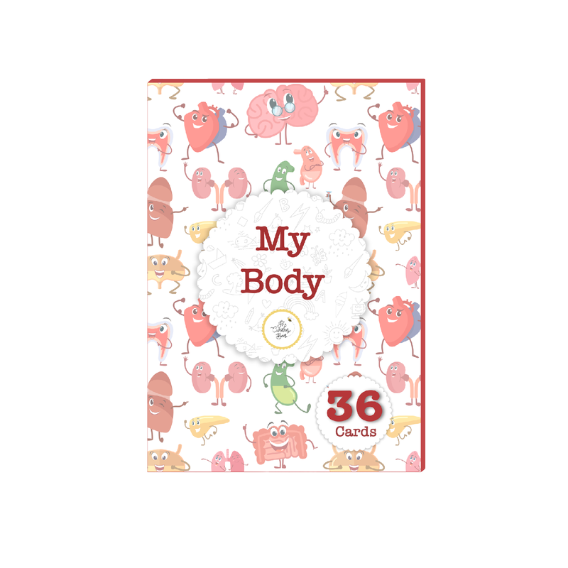 My Body Flash Cards Flash Cards for Kids