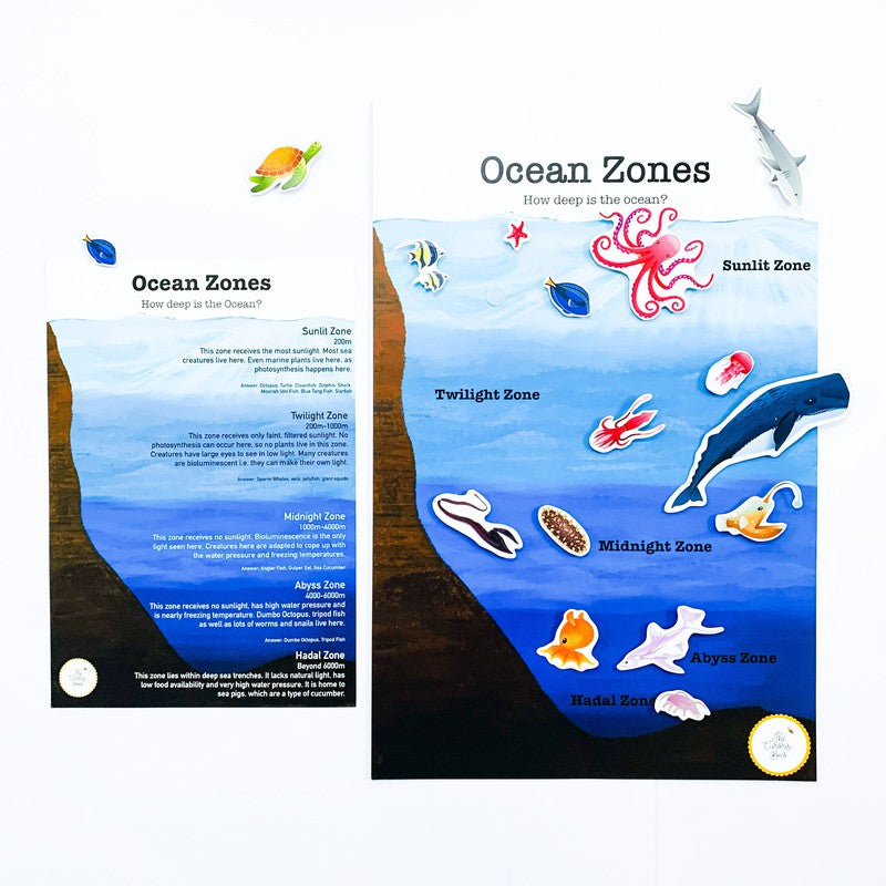 Ocean Theme Activity Box