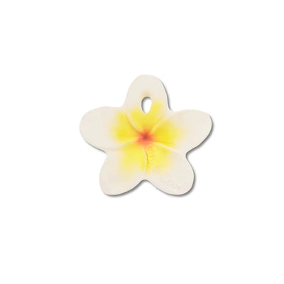 Hawaii The Flower Chewy Teether